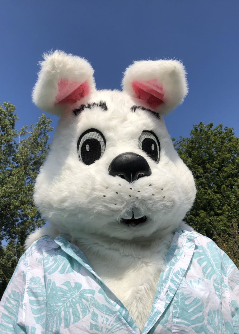 Easter bunny character mascot costume