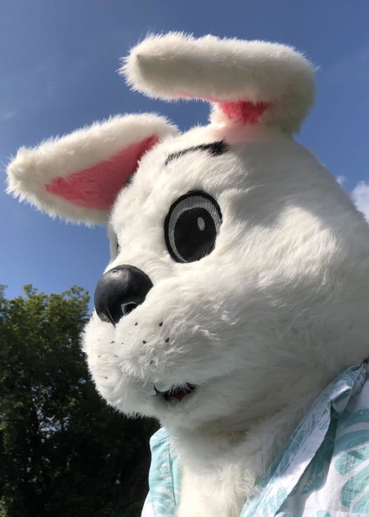 Easter bunny character mascot costume