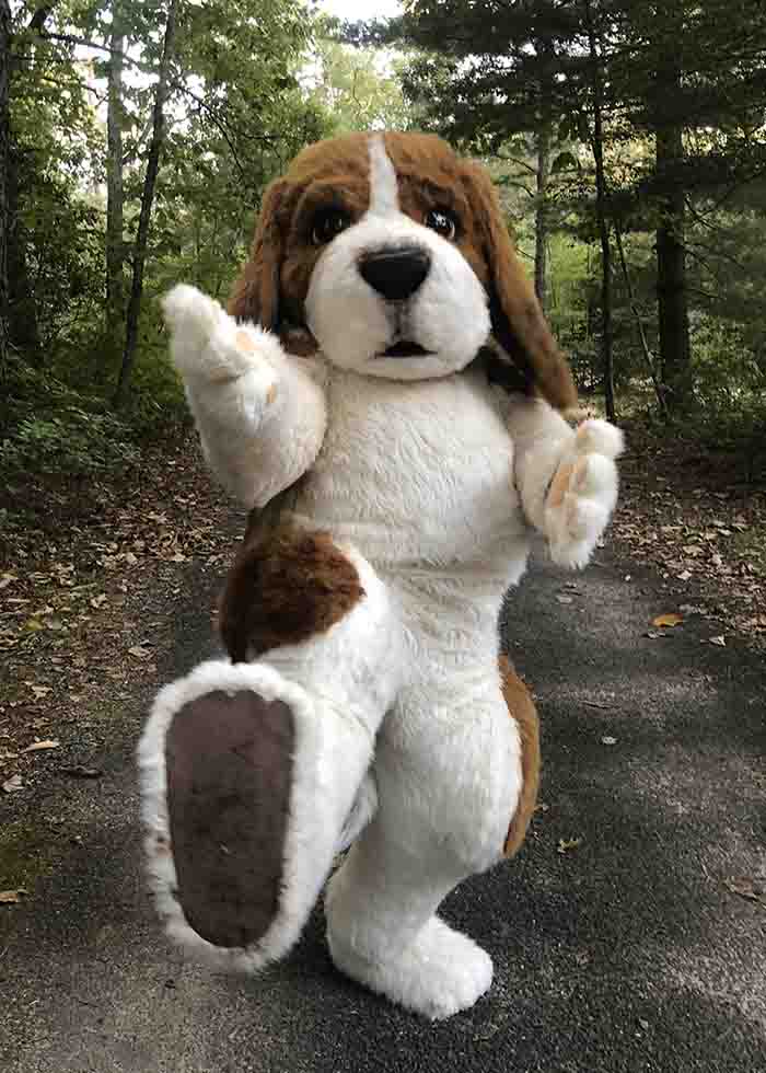 Realistic Beagle Costume for TV FILM