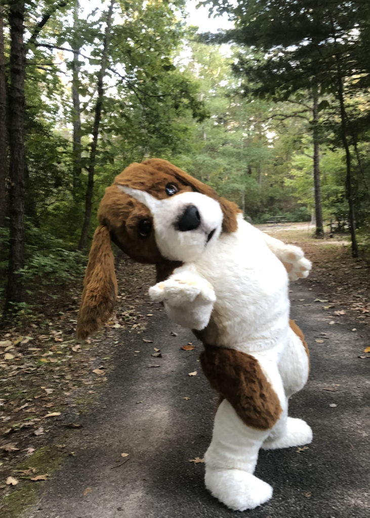 Beagle mascot costume studio