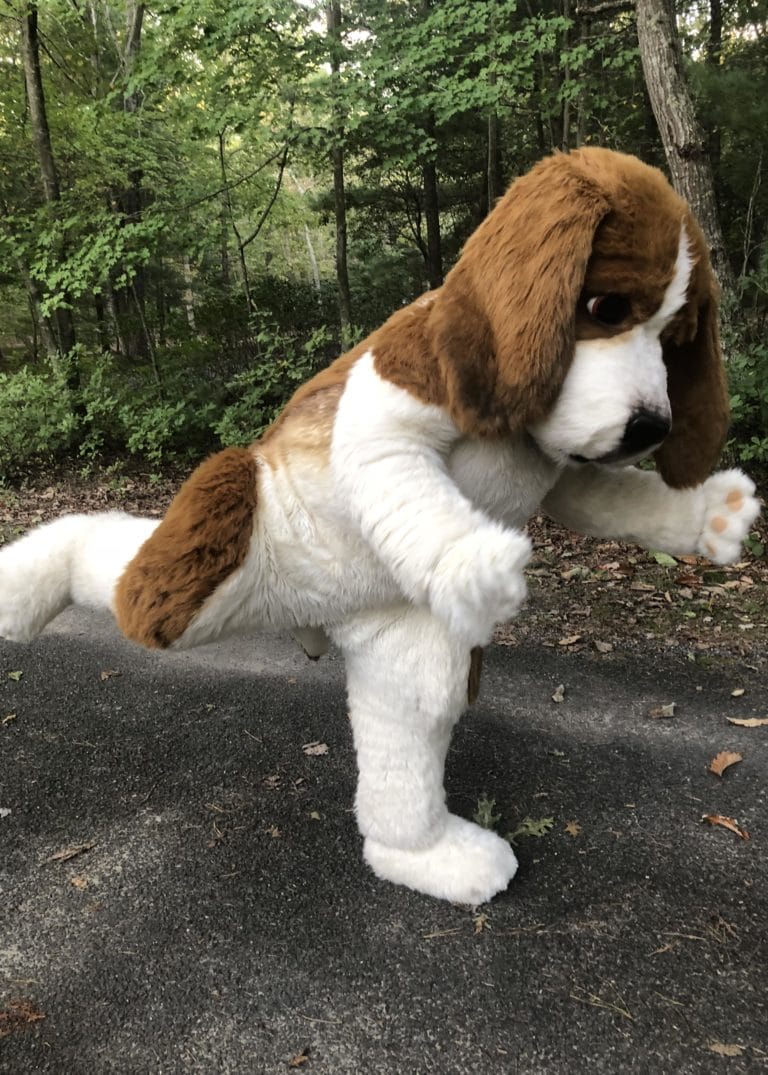 Realistic Beagle Costume