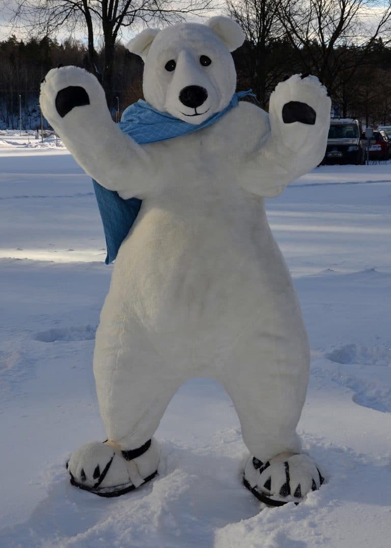 Polar Bear Mascot Costume Filming