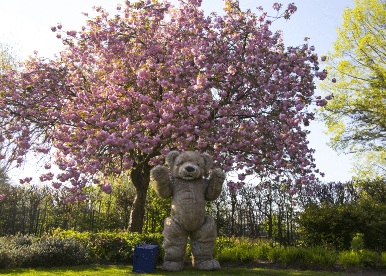 realistic teddy bear costume for hire blossom