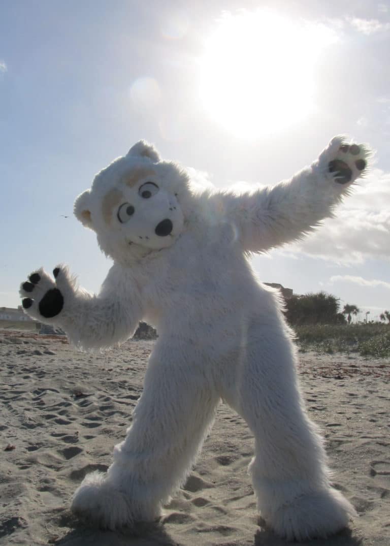 Polar bear character costume