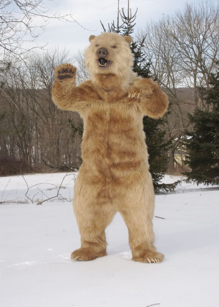 Realistic Kodiak Grizzly animal costume Filming