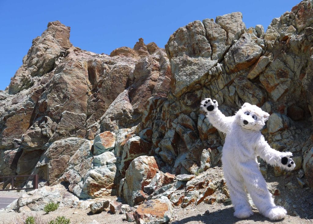 Polar bear character costume