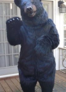 Realistic Jet Black Bear special effects creature costume