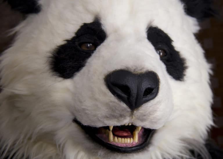 Realistic animated Panda costume