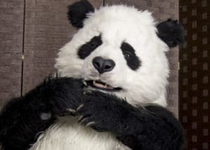 Realistic Panda costume