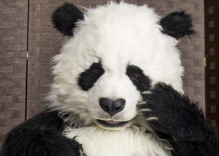 Realistic Panda costume