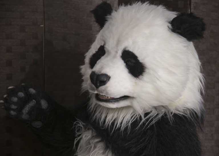 Realistic Panda suit