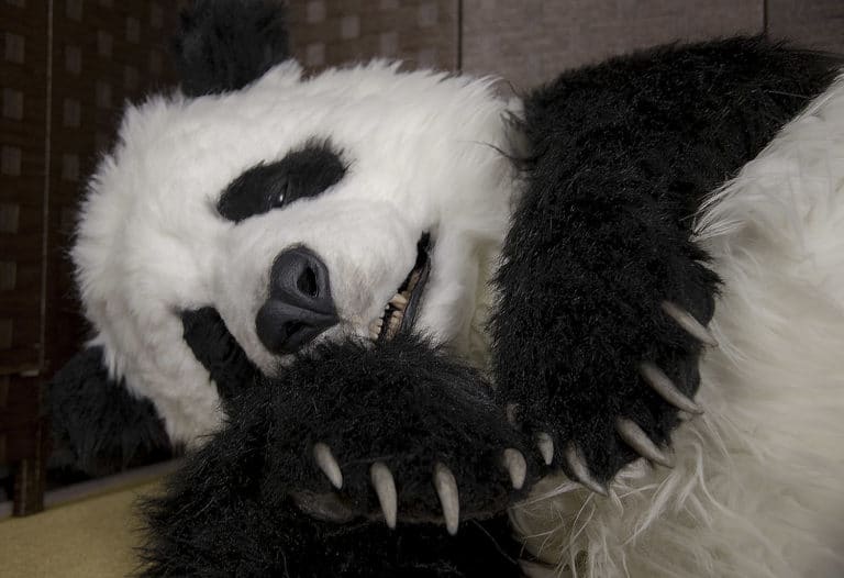 Realistic SFX Panda suit