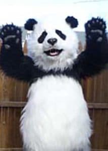 Animatronic lifelike animal double Panda Costume