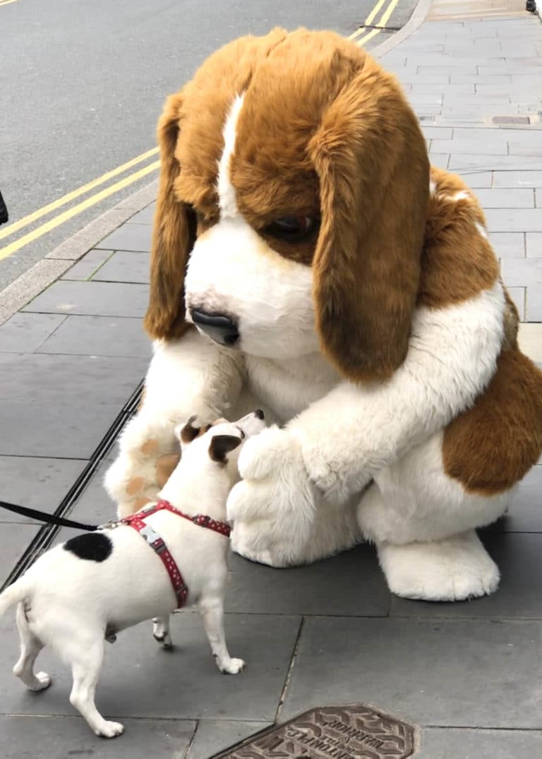 realistic beagle costume