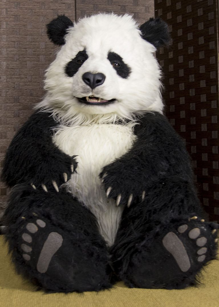 Realistic animated Panda costume