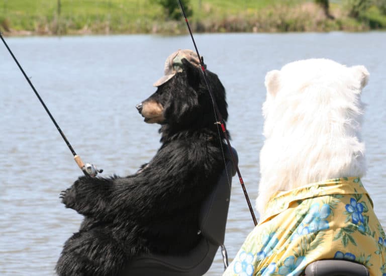 realistic polar bear costume for hire