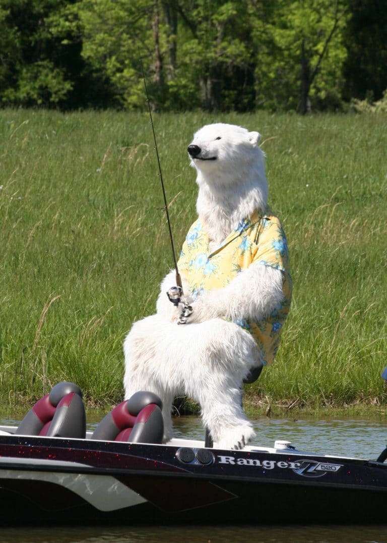 realistic polar bear costume for hire