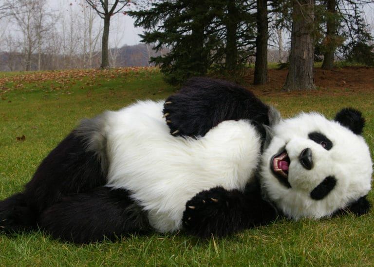 realistic panda costume