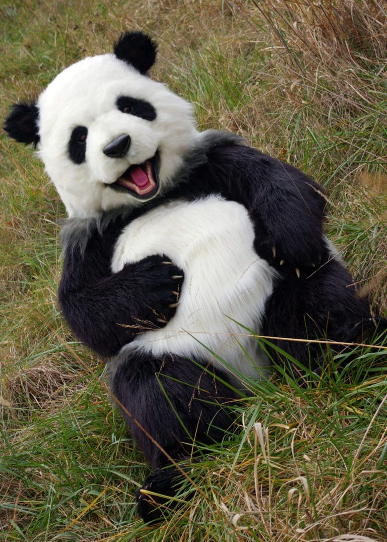 realistic panda costume