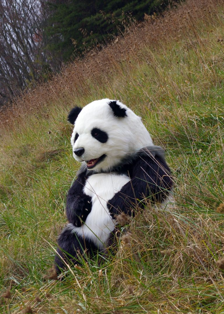 realistic panda costume