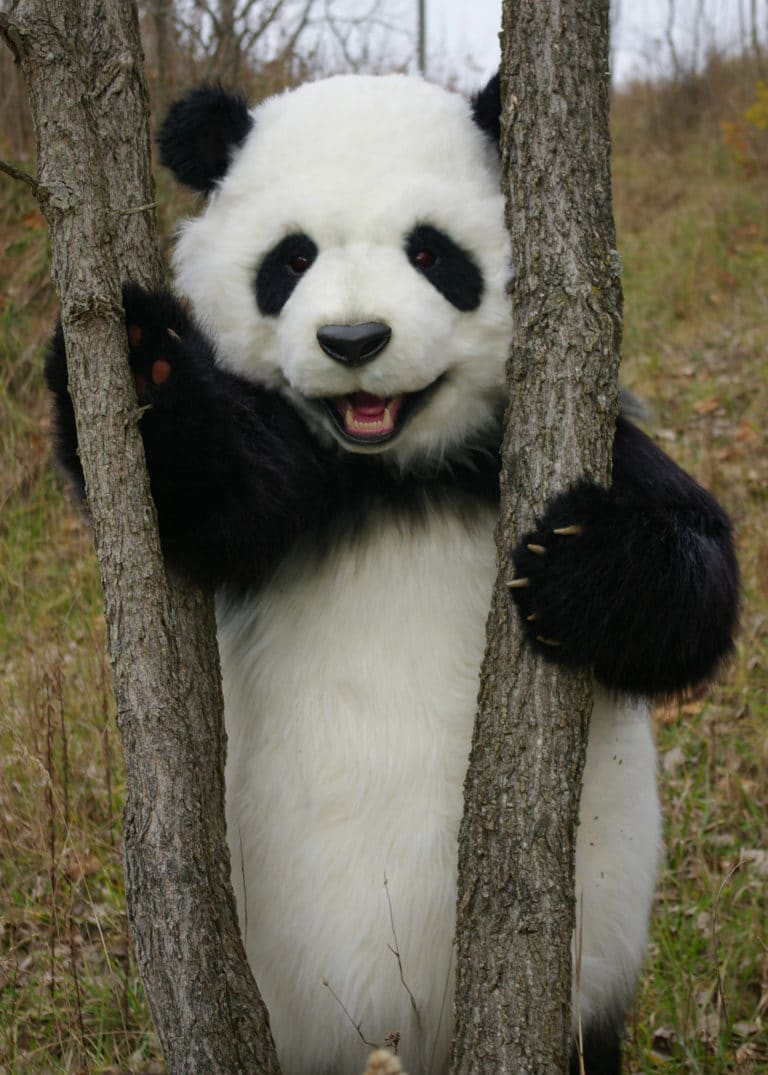 realistic panda costume