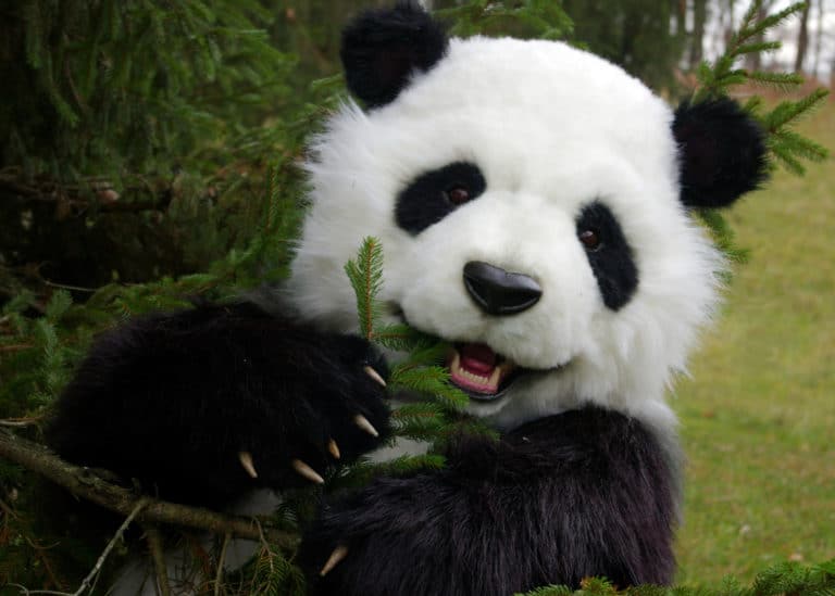 realistic panda costume