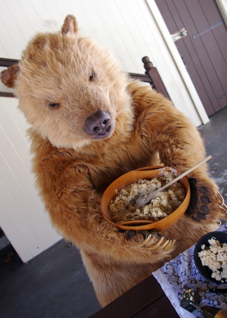 realistic bear costume for hire