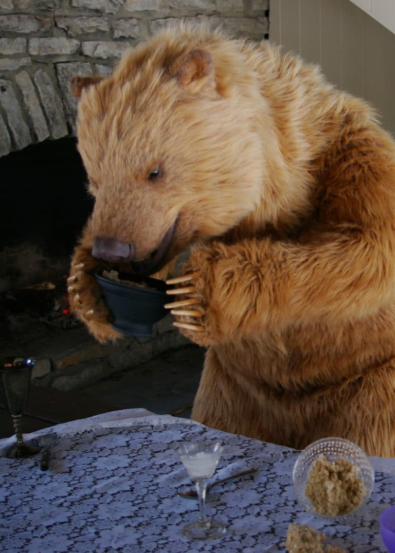 realistic bear costume for hire