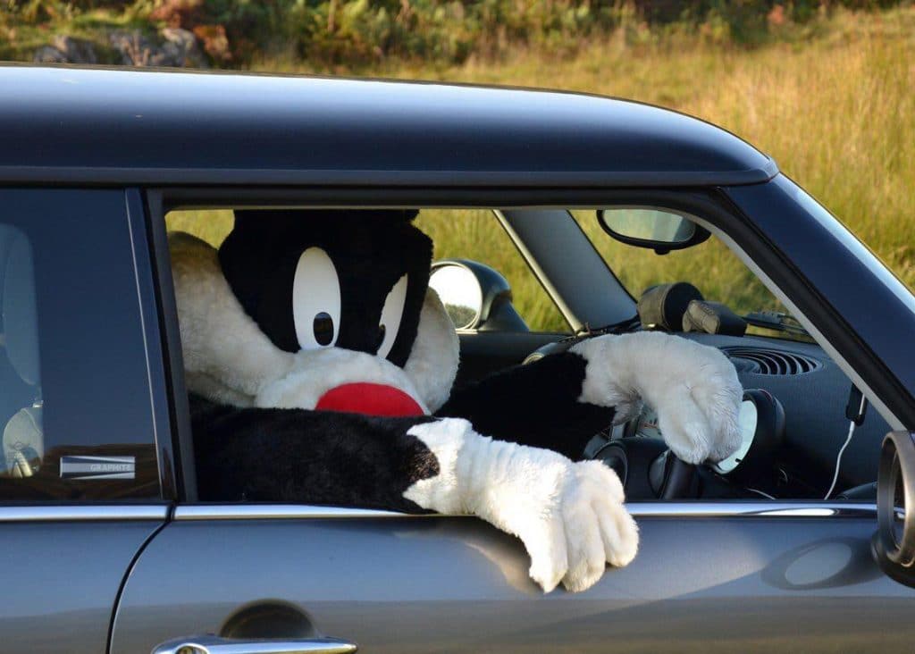 Sylvester the cat mascot costume