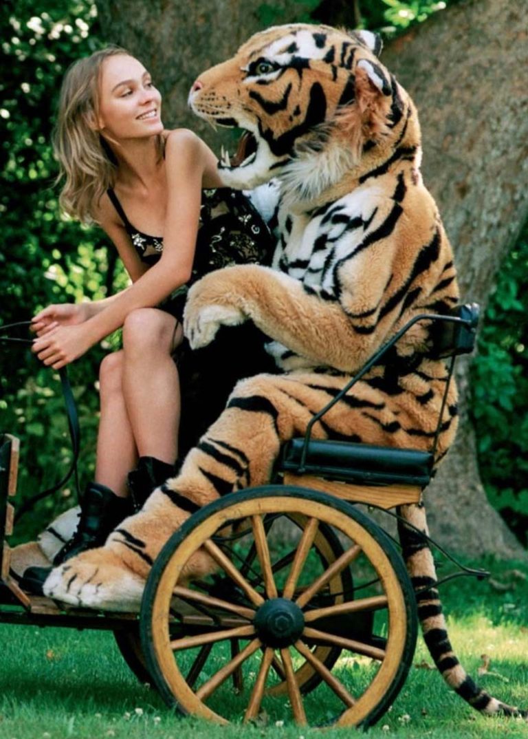 realistic tiger costume for hire