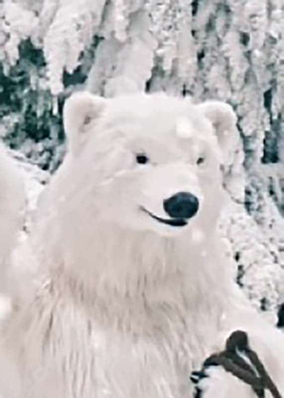 realistic bear polar costume for hire