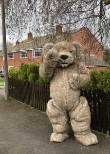 Teddy Bear Mascot costume