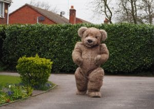 Teddy Bear mascot suit Bentley The Bear
