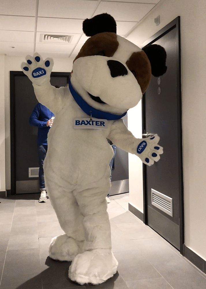 Professional mascot dog costume