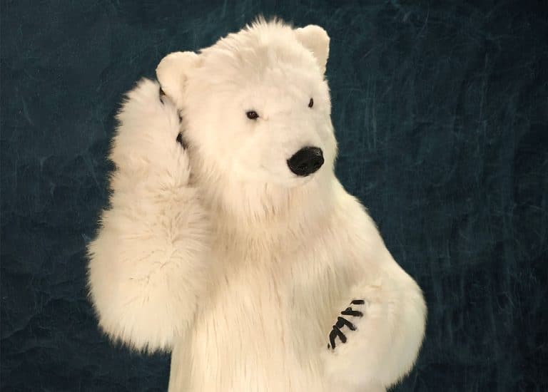 realistic polar bear costume for hire