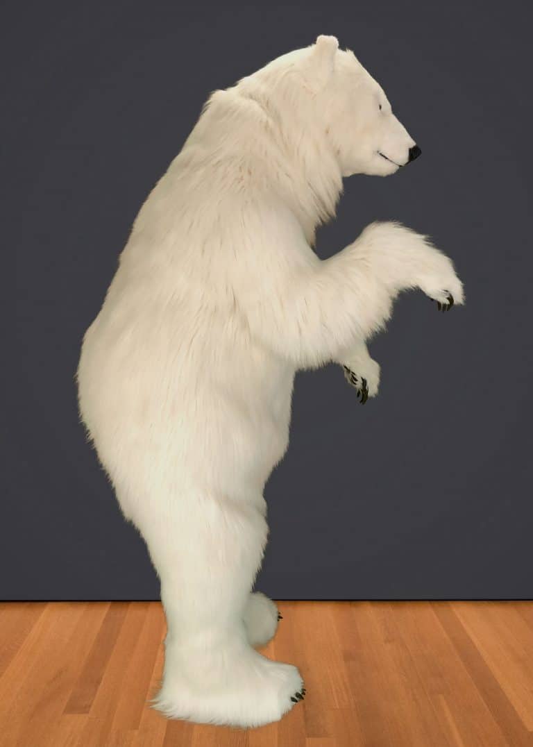 realistic polar bear for hire