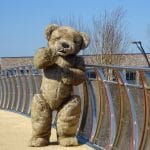 Bentley the realistic Teddy Bear costume for hire for events and TV