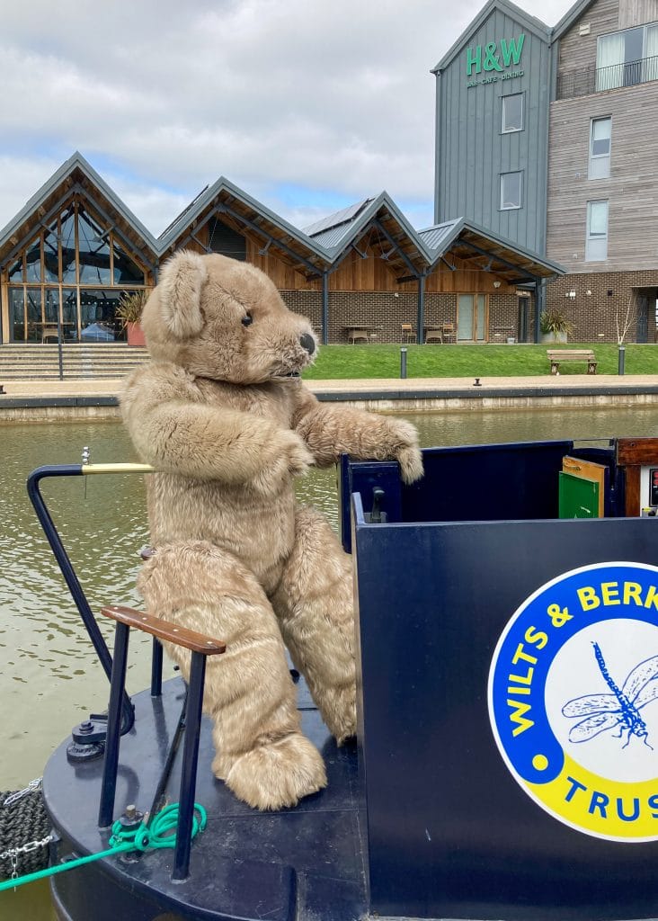 Realistic teddy bear costume Bentley the Bear, driving a narrowboat for an event